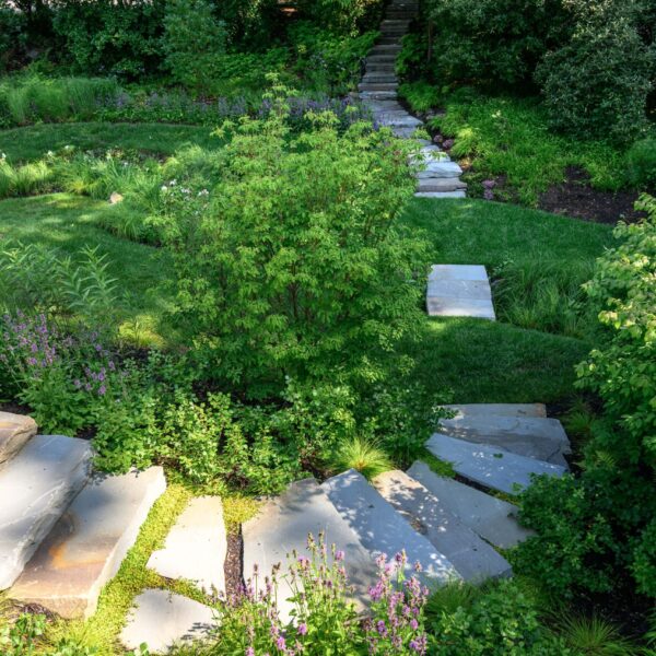 TERRACED GARDEN AT ROCKWOOD 14